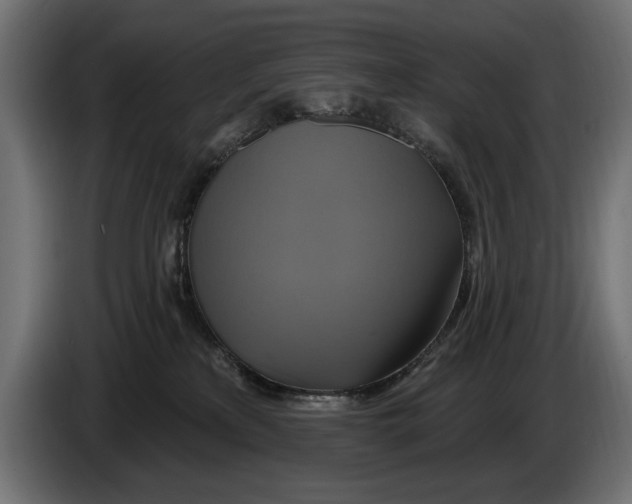 X0000086020233200704131857