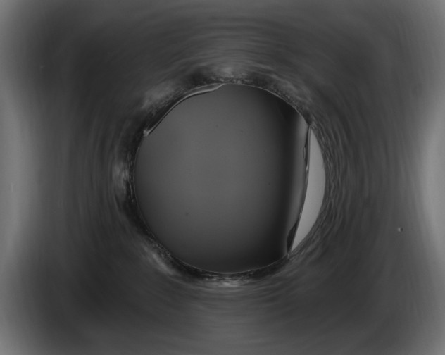 X0000086020235200704131857