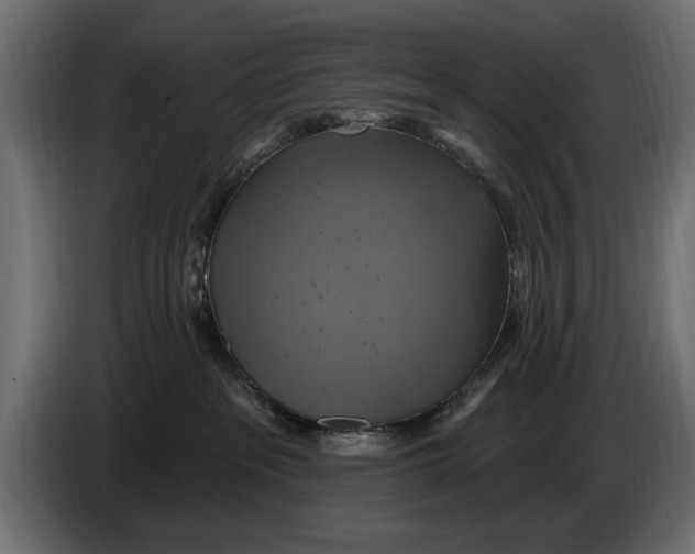 X0000086020237200704131857