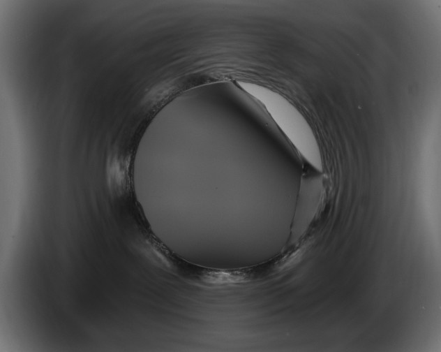 X0000086020239200704131857