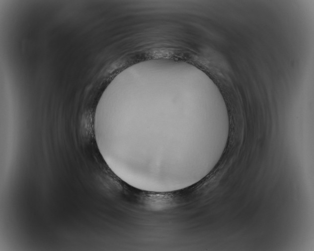 X0000086020240200704131856