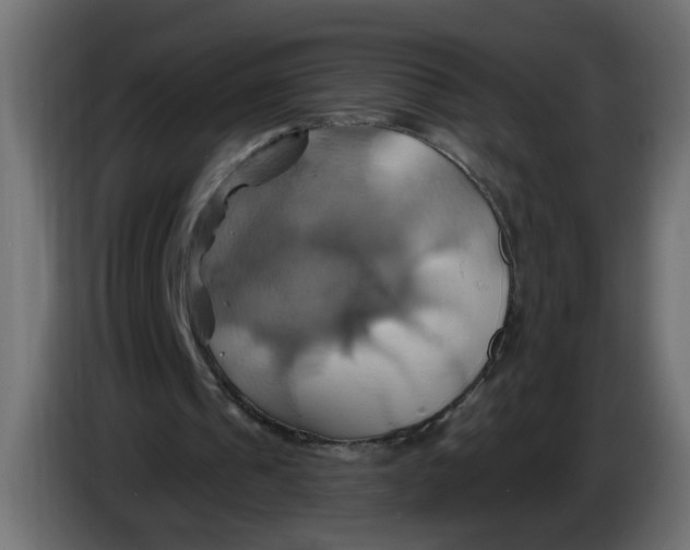 X0000086020241200704131856