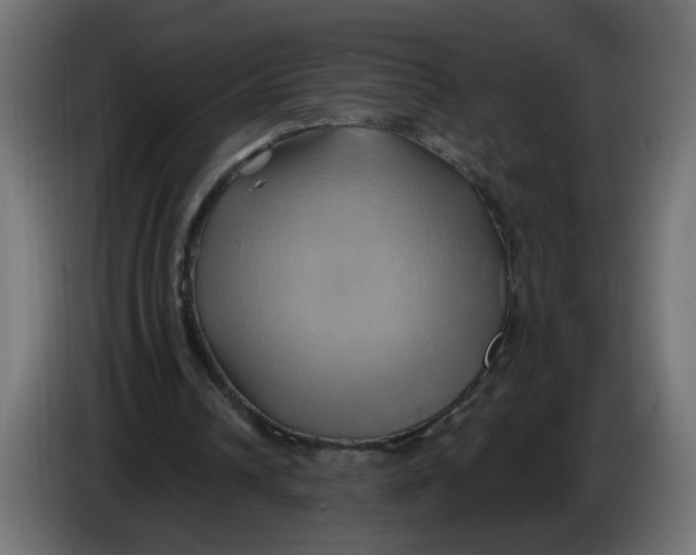X0000086020242200704131856