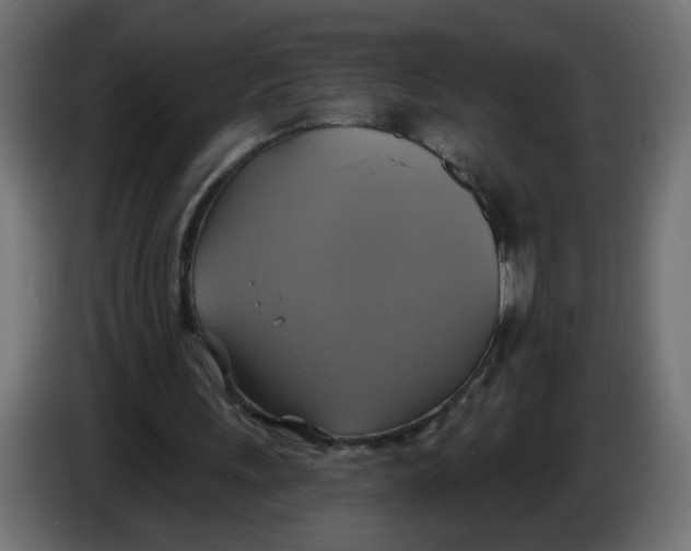 X0000086020243200704131856