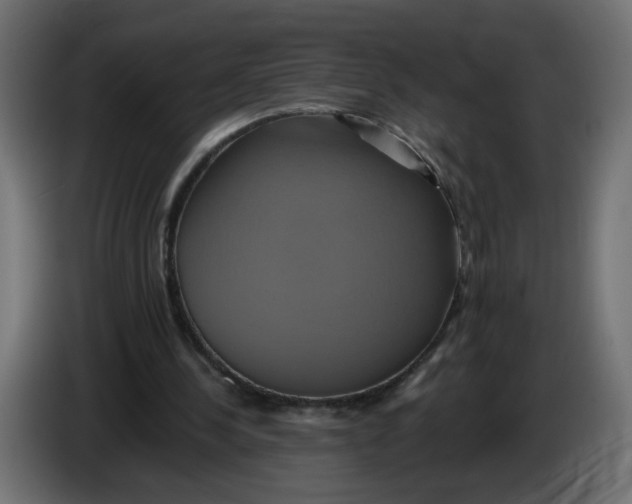 X0000086020244200704131856