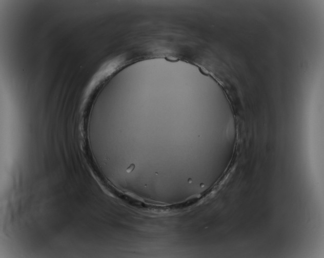 X0000086020245200704131856