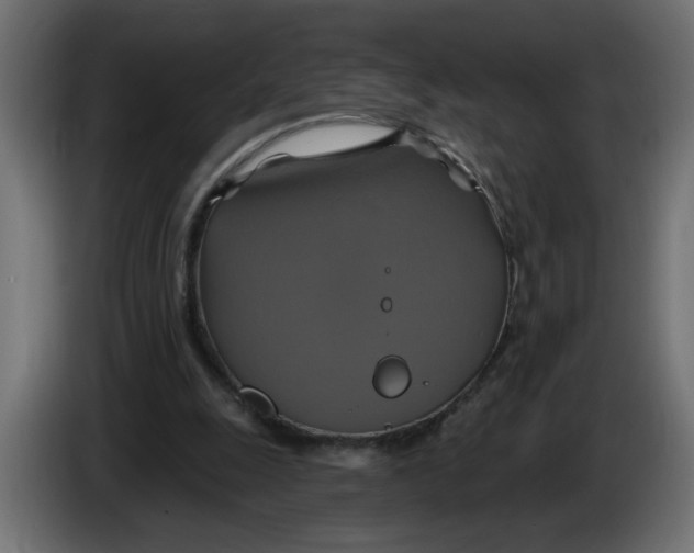 X0000086020247200704131856