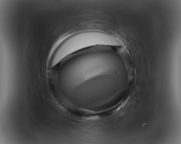 X0000086020248200704131856