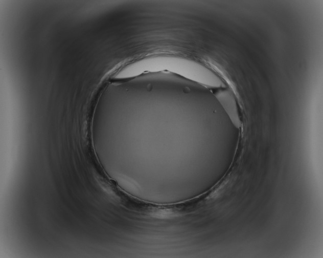 X0000086020249200704131856