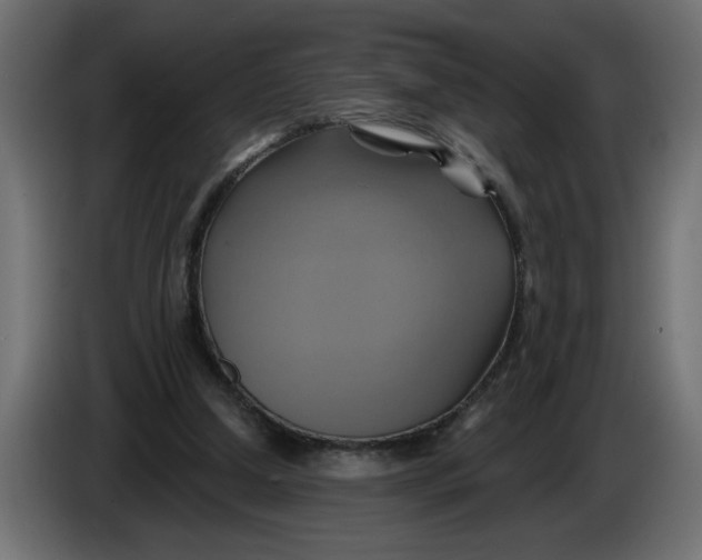 X0000086020250200704131856