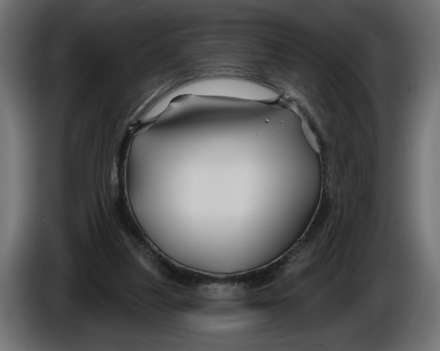 X0000086020251200704131856