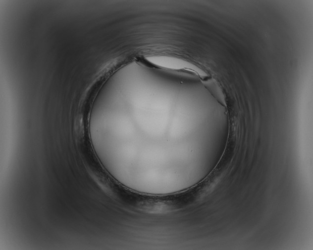 X0000086020254200704131856