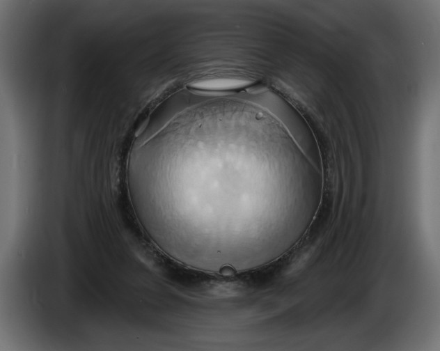 X0000086020255200704131856
