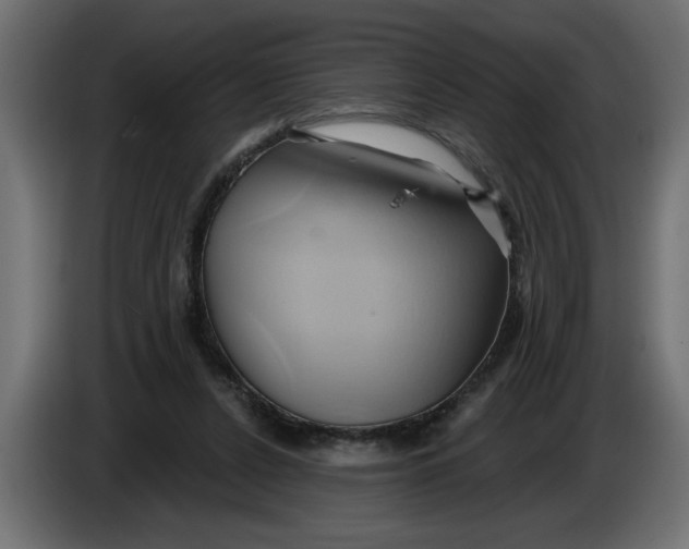 X0000086020256200704131856