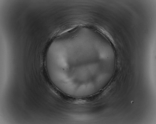 X0000086020257200704131856