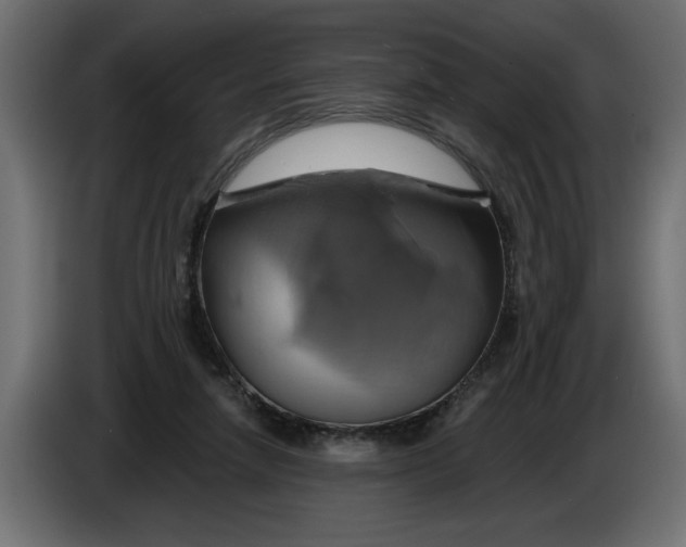 X0000086020258200704131856
