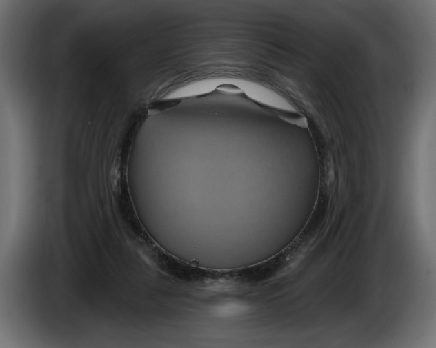 X0000086020259200704131856
