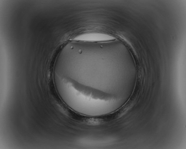 X0000086020261200704131856