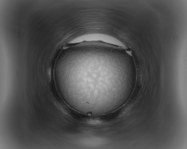 X0000086020262200704131856