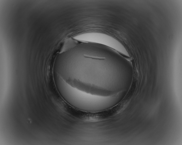 X0000086020263200704131856