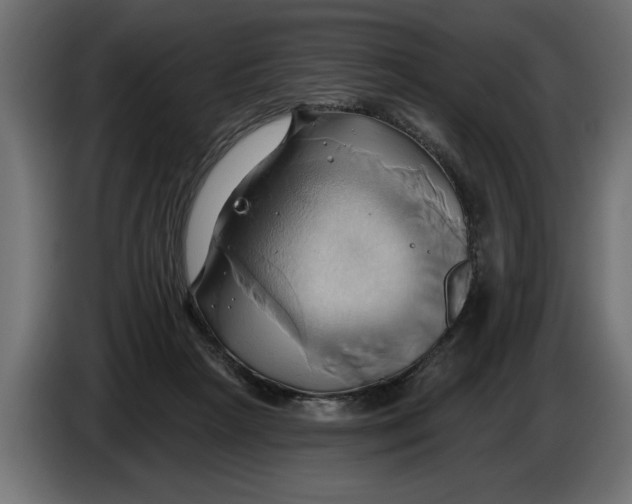 X0000086020265200704131856