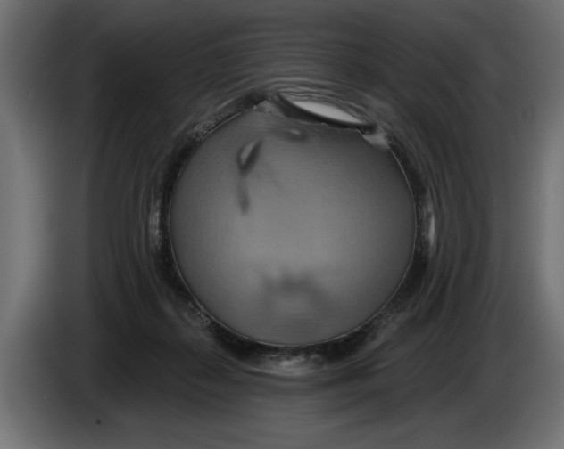 X0000086020267200704131856