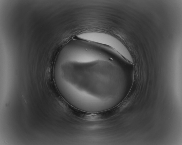 X0000086020269200704131856