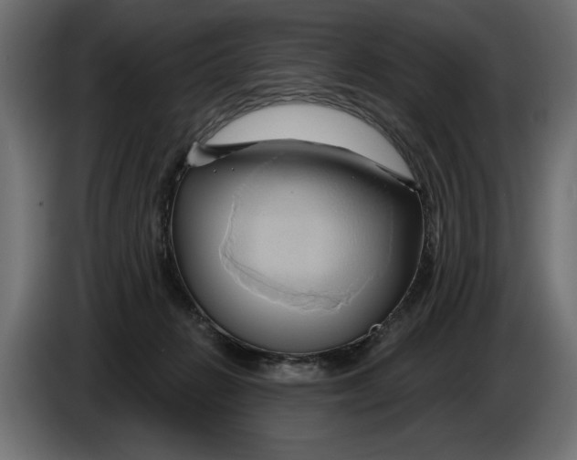 X0000086020270200704131856