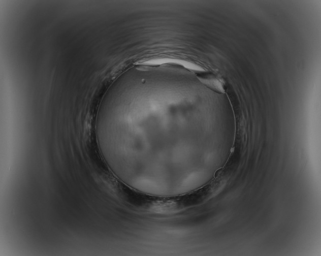 X0000086020271200704131856