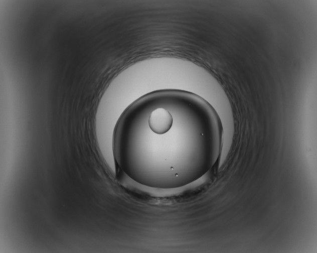 X0000086020272200704131856
