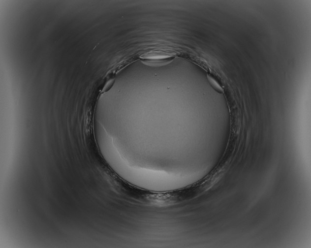 X0000086020273200704131856