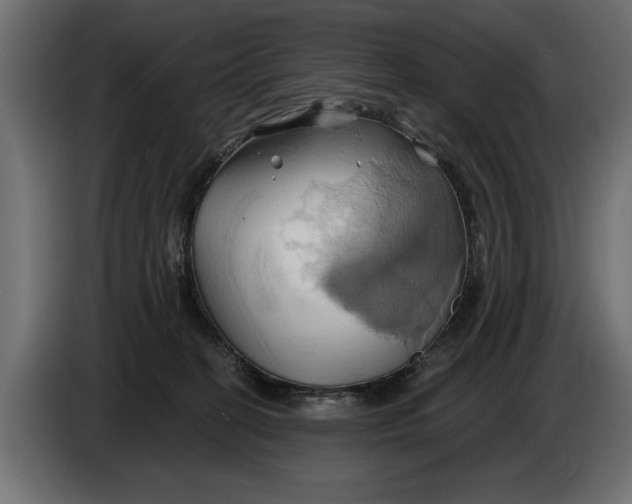 X0000086020274200704131856