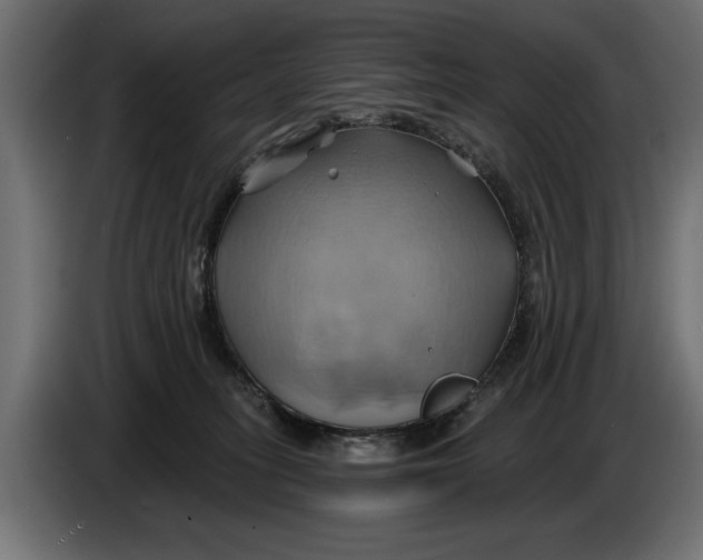 X0000086020275200704131856