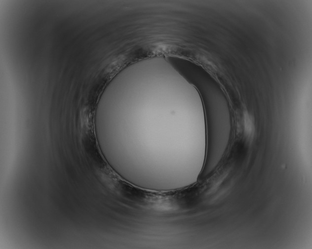 X0000086020276200704131856