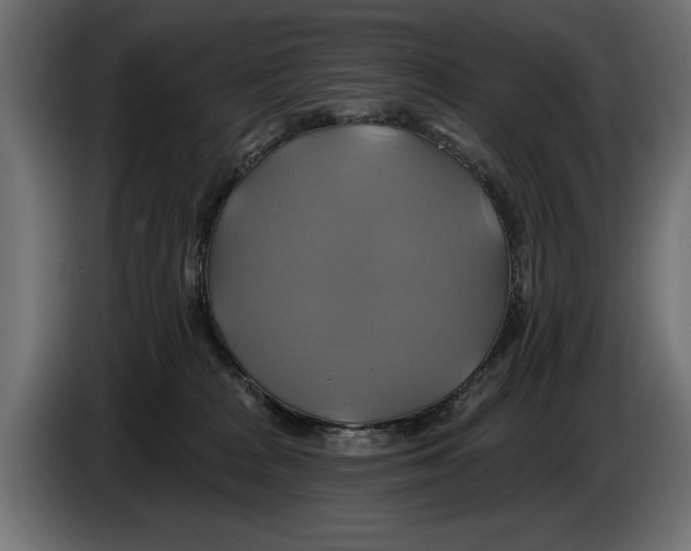 X0000086020277200704131856