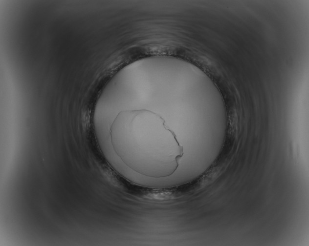 X0000086020278200704131856