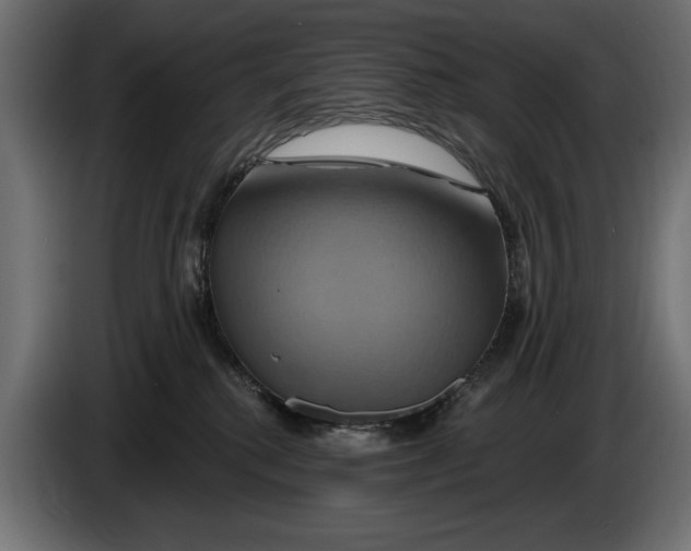 X0000086020280200704131856