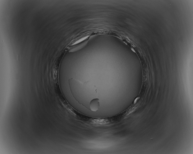 X0000086020281200704131856