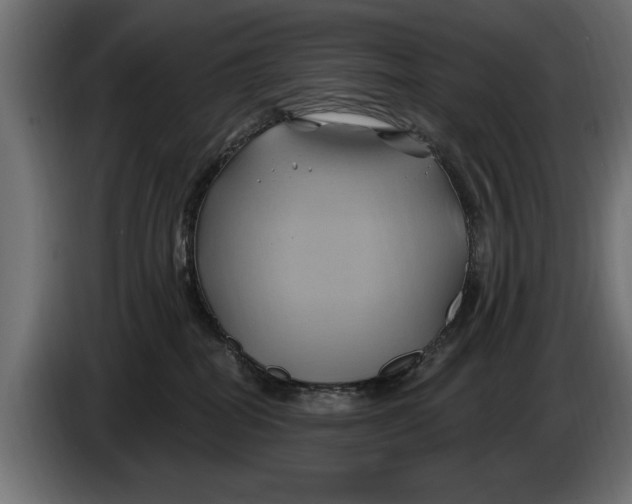 X0000086020282200704131856