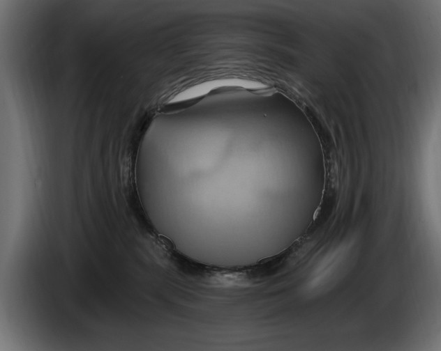 X0000086020283200704131856