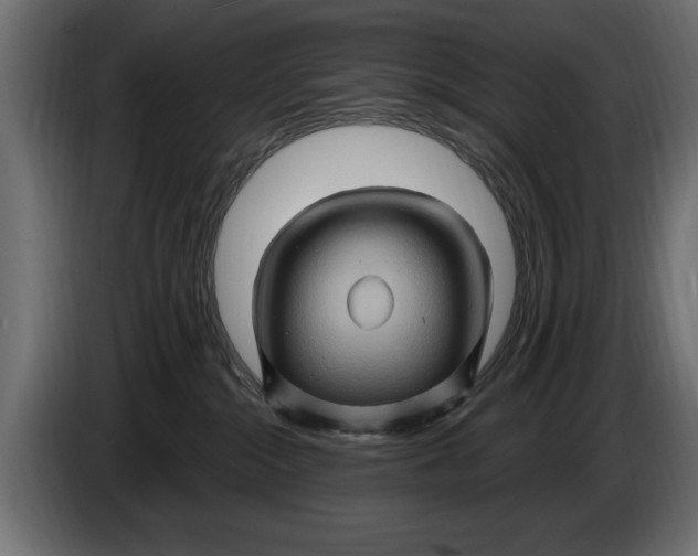 X0000086020284200704131856