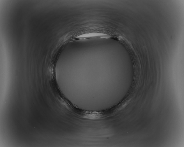 X0000086020288200704131856