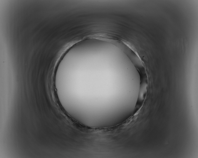 X0000086020289200704131856