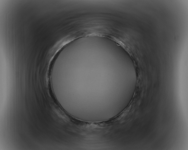 X0000086020290200704131856