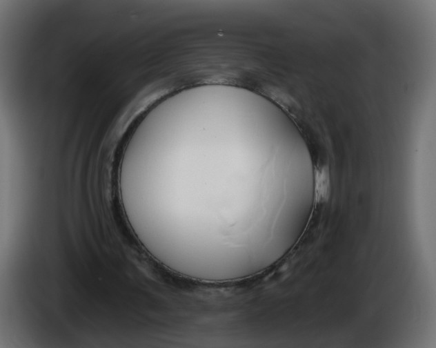 X0000086020291200704131856