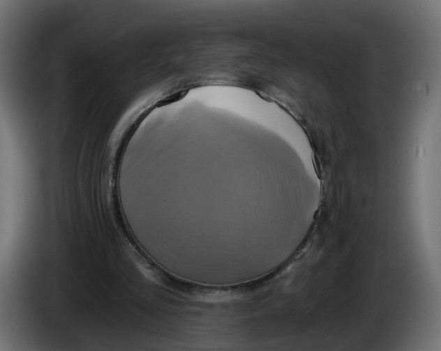 X0000086020293200704131856