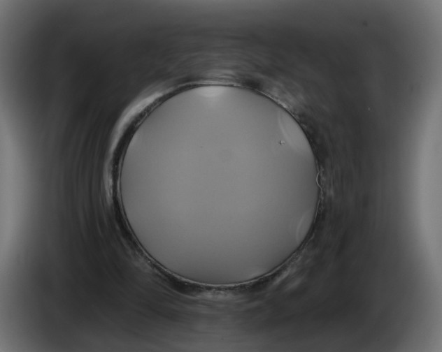 X0000086020294200704131856