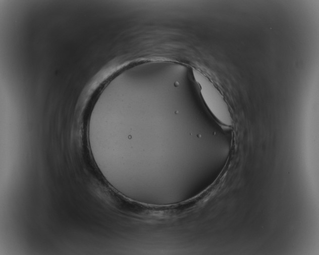 X0000086020295200704131856