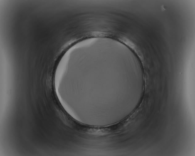 X0000086020297200704131856