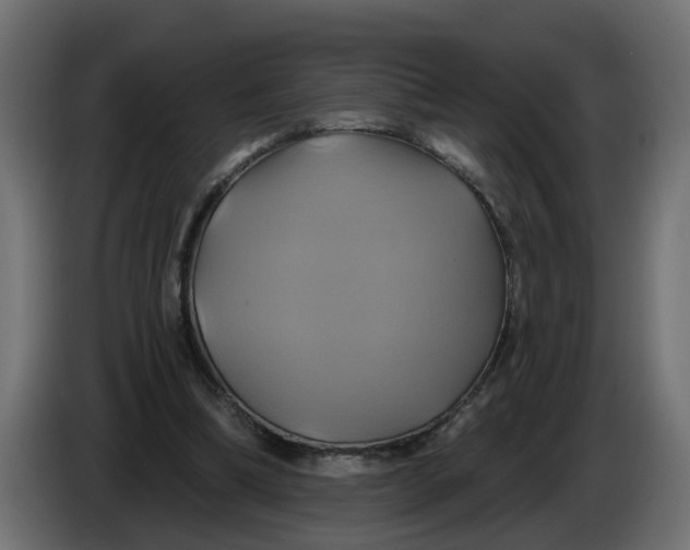X0000086020298200704131856